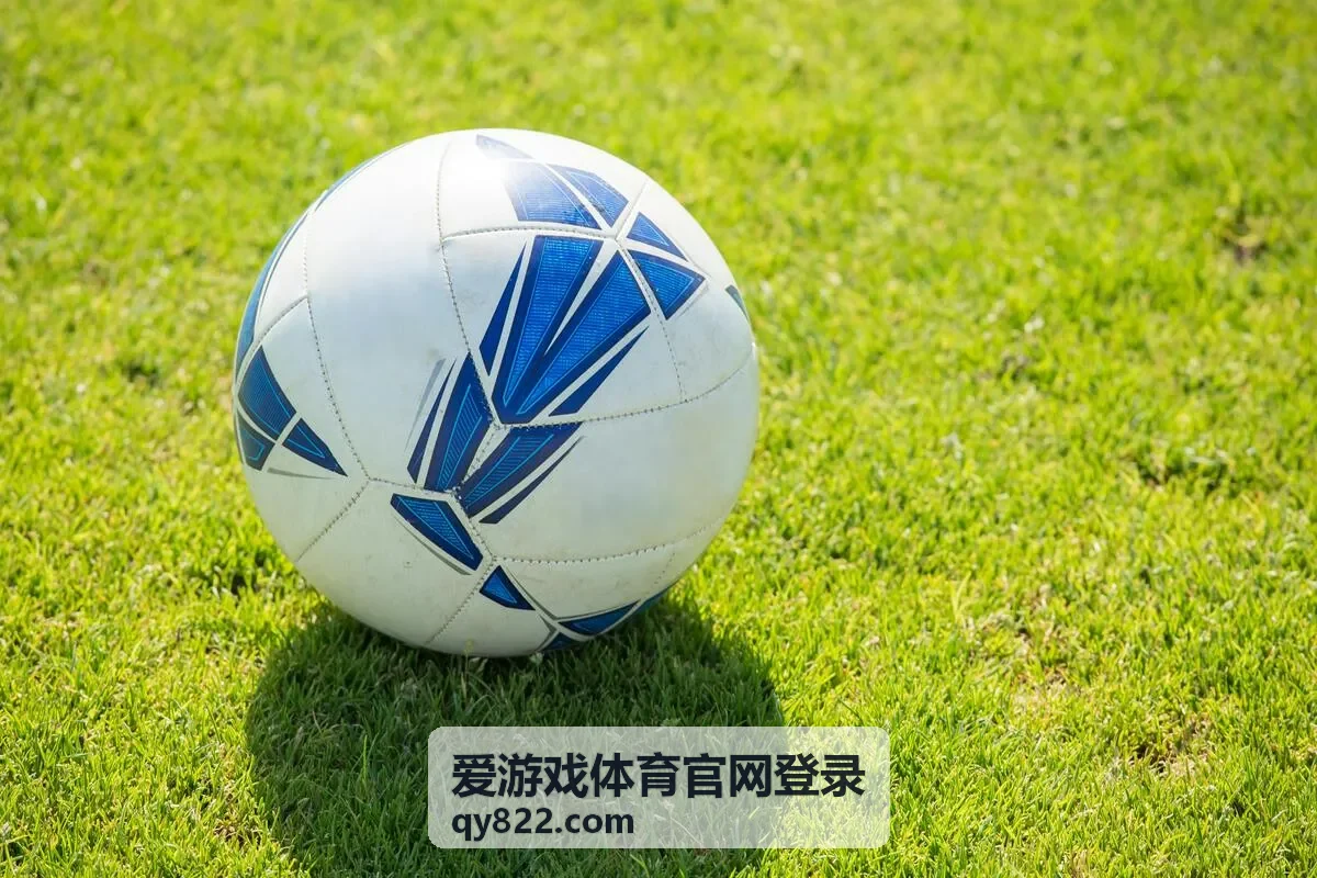 爱游戏体育官网登录玩法基础规则示意